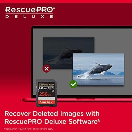SanDisk 256GB Extreme PRO SDXC UHS-I Memory Card image 7