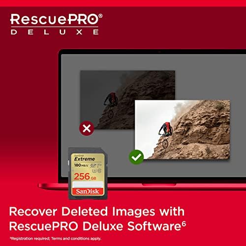 SanDisk 256GB Extreme SDXC UHS-I Memory Card image 7